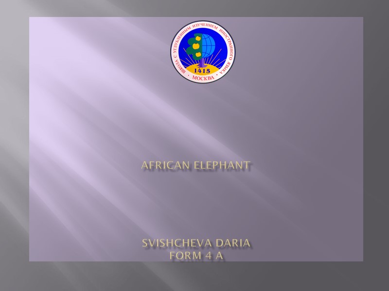 African Elephant      Svishcheva Daria  Form 4 A